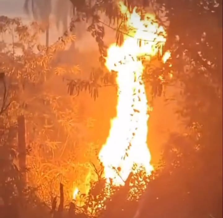 Bombeiros e Defesa Civil combatem incêndio próximo a escola no Terra Brasilis